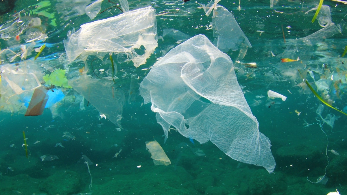 The “Big Pacific Garbage Patch” has acquired its own ecosystem
