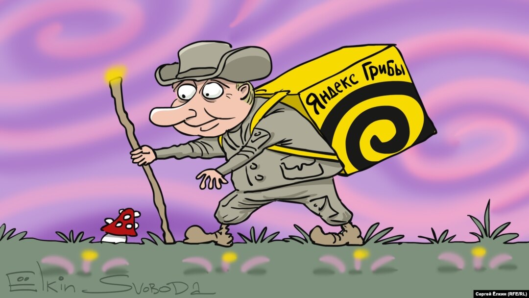 Карикатура Сергея Ёлкина