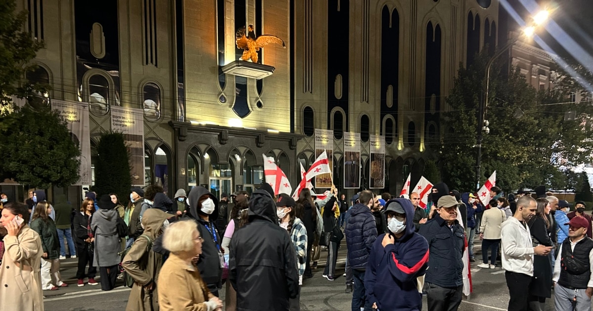 დააკავეს საპროტესტო აქციების კიდევ რამდენიმე მონაწილე - განახლებადი
