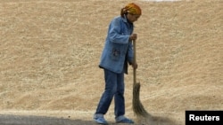 Женщина подметает зерно на току в Акмолинской области. Иллюстративное фото.
