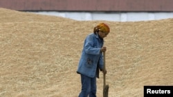 Работница тока подметает рассыпанное зерно в крестъянском хозяйстве «Алиби-Ишим» в селе Бирлик Акмолинской области. 26 августа 2010 года. 