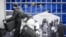 Евросоюз ужесточает миграционную политику