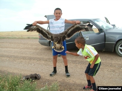 Барлық жастағы кеуделердің фотосуреттері