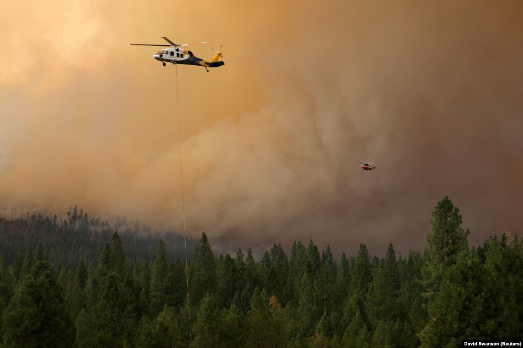 Helikopterët e Shërbimit Pyjor të Shteteve të Bashkuara duke u angazhuar për frenimin e përhapjes së zjarrit "Dixie", në Kaliforni. (31 korrik)