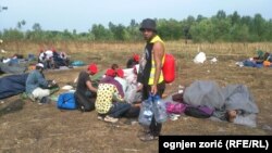 Pamje e migrantëve në kufirin e Serbisë me Hungarinë vitin e kaluar