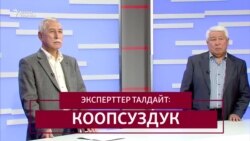 Эксперттер талдайт: коопсуздук