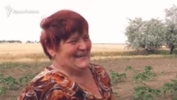 Крымские фермеры радуются дождю. Это почти вся их вода (видео)