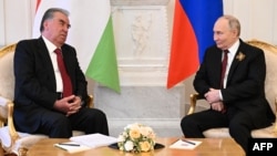 Эмомали Рахмон на встрече с Владимиром Путиным в Кремле. 9 мая 2024 