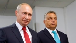 Президент России Владимир Путин (слева) и премьер-министр Венгрии Виктор Орбан. Будапешт, Венгрия, 28 августа 2017 года