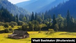 Ілюстраційне фото (©Shutterstock)