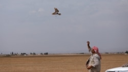 SYRIA-ENVIRONMENT/BIRDS-HUNTING