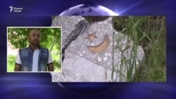 Фарди муттаҳам бо тахриби сангҳои қабристони Бохтар дастгир шудааст