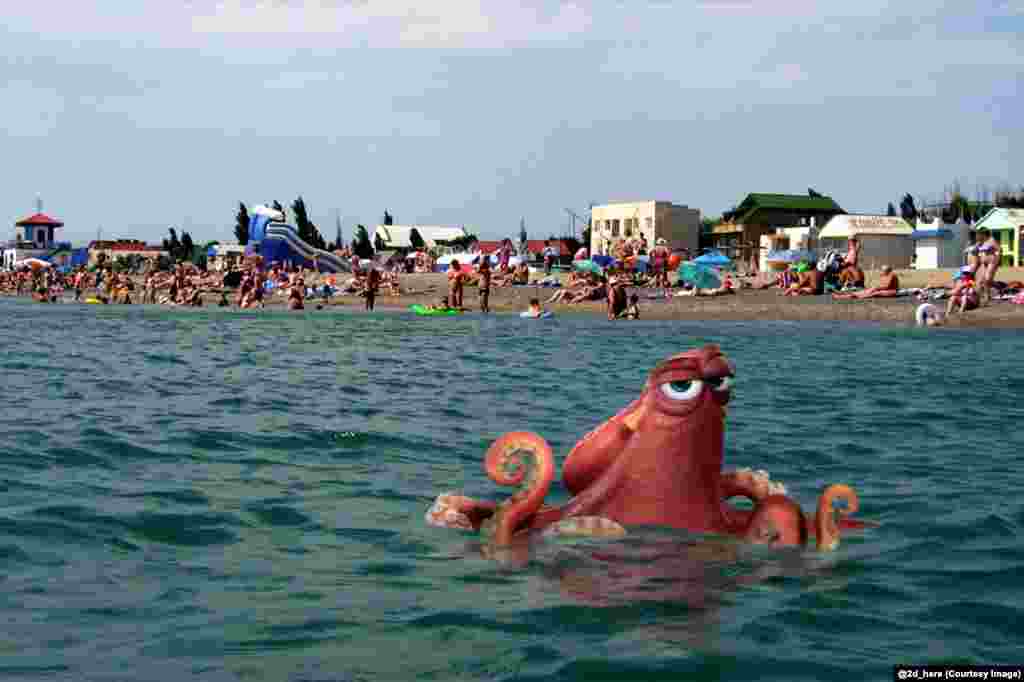 Hank, the octopus from Finding Dory, lurks off a Russian beach. 