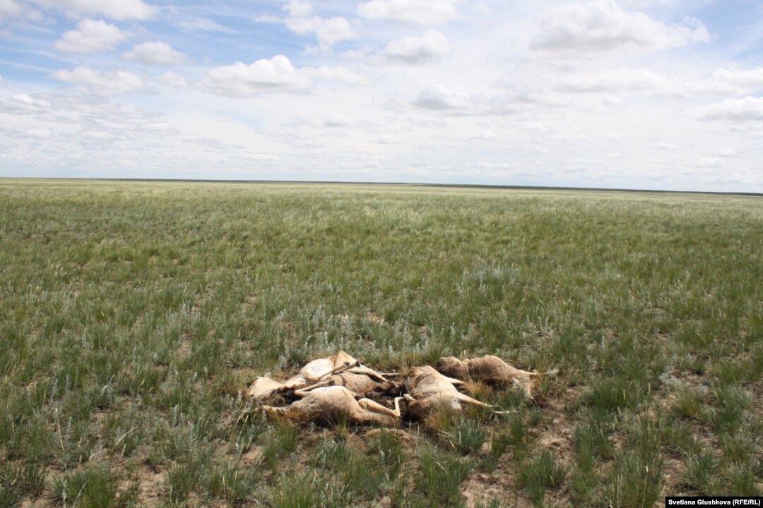 Dota 2 кейіпкерлерінің порно видеолары