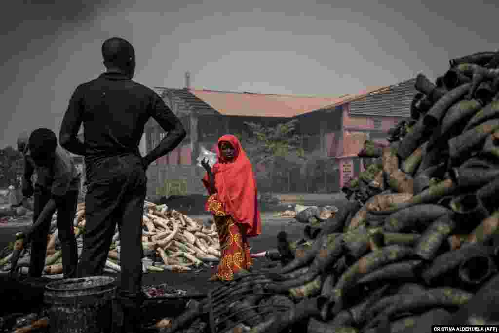 A girl stands in front of cow horns at Kaduna Abatour meat market in North Kaduna, Nigeria. (AFP/Cristina Aldehuela)