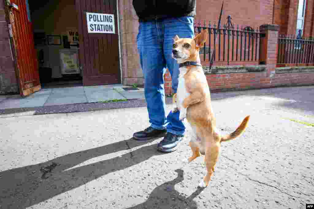 Câinele Marley își așteaptă stăpânul în fața unei secții de votare din Belfast, pe 4 iulie 2024, când în Regatul Unit sunt alegeri generale. Cetățenii votează între 7:00 și 22:00, când sunt anunțate rezultatele primelor exit-poll-uri. &bdquo;Ziua scrutinului este una dintre cele mai ciudate din calendarul știrilor, deoarece există în mod clar un interes și o așteptare uriașe, precum și o mulțime de trafic pe site - vă mulțumim - dar, de fapt, până la exit-poll-ul de la ora 22.00, nu există prea multe lucruri concrete de raportat, cu excepția faptului că figurile de rang înalt au ieșit la vot și au spus că au votat&rdquo;, se arată într-o postare din&nbsp;blogul The Guardian.