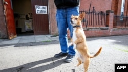Fotogalerie | O tradiție britanică în ziua votului: cu câinele la secția de votare