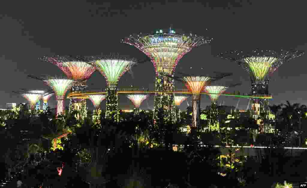 Rrethuar me 12 struktura gjigande, 25-50 metra n&euml; lart&euml;si, vizitor&euml;t e &quot;Singapore&#39;s Supertrees&quot;, u magjeps&euml;n nga dritat dhe muzika.&nbsp;