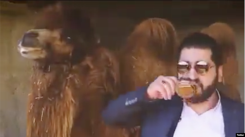 A prophetic medicine advocate drinking camel urine to prevent coronavirrus in an unkonwn location in Iran. April 2020. 