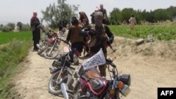آرشیف، شماری از اعضای گروه طالبان در پکتیا