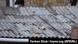 Иллюстративное фото
