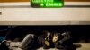 Уцякач сьпіць на вакзале ў Харватыі, непадалёк ад мяжы з Вугоршчынай, 18 верасьня 2015 году
