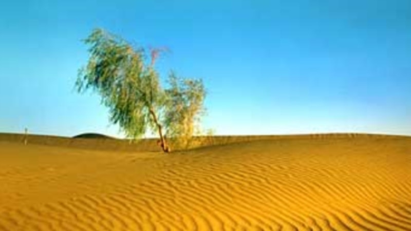 Ýazda tebigata çykýan, hapalaryny ýygnaman gaýdýan adam köpelýär