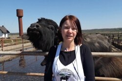 Інна Левдар на буйволиній фермі. Закарпаття, квітень 2020 року