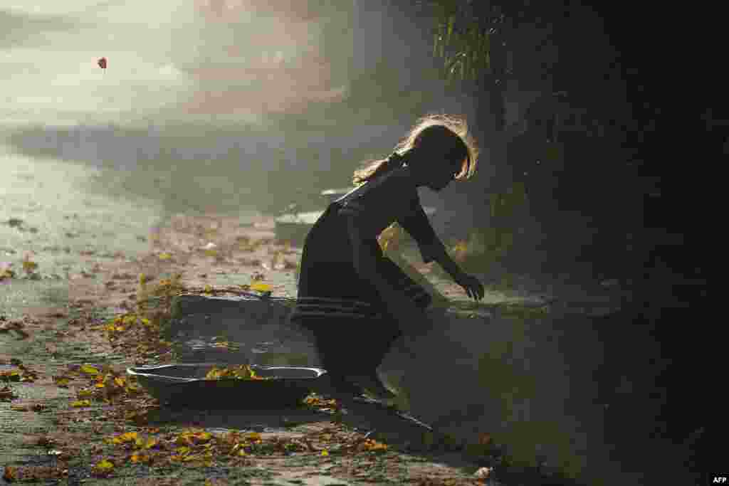 An Afghan girl collects fallen autumn leaves in Jalalabad. (AFP/Noorullah Shirzada)