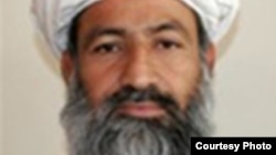 د سولې د عالي شورا مرستیال مولوي عطاالله لودین