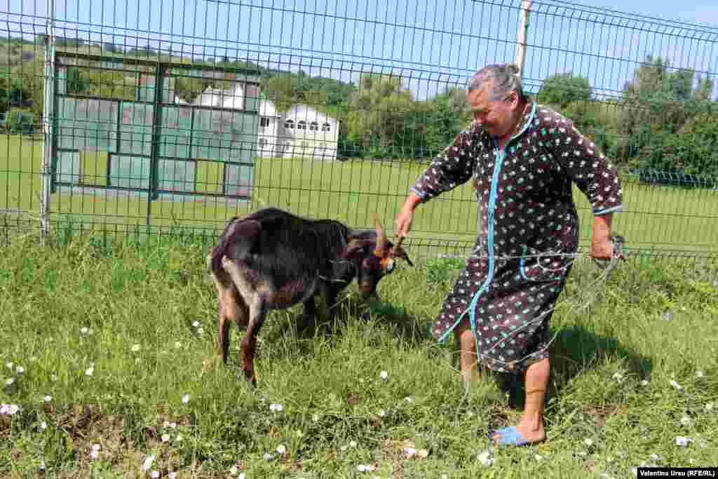 Moldova, Oameni și locuri din Ciuciuleni, raionul H&#226;ncești, iulie 2020