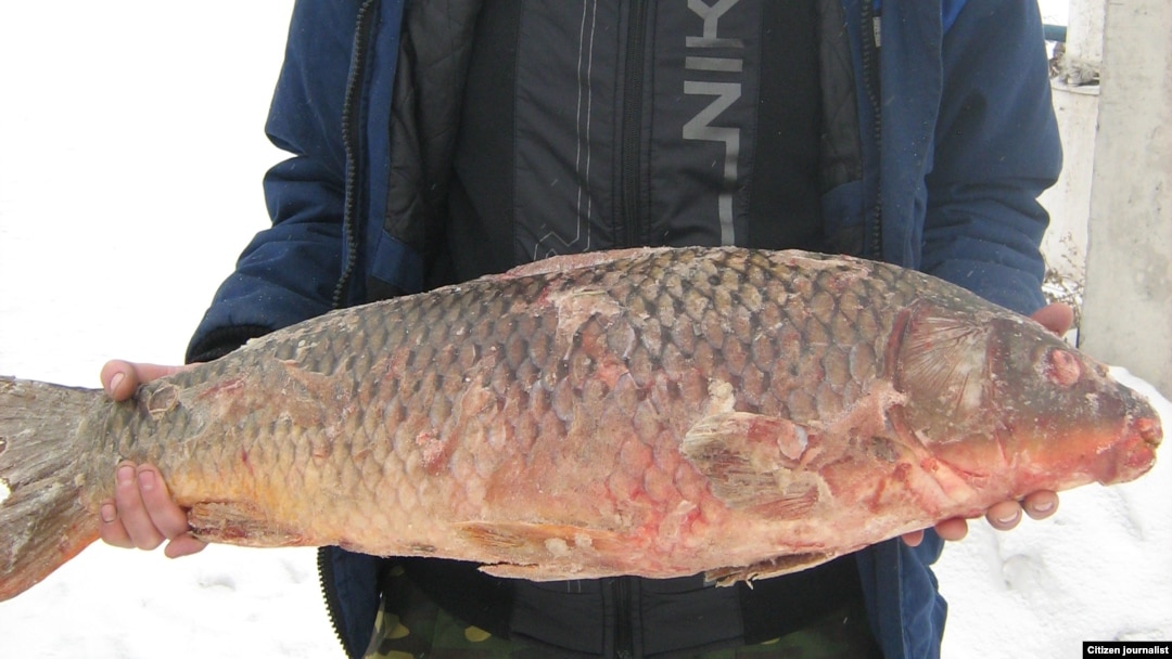 Порно аналар большие сиськи спермы