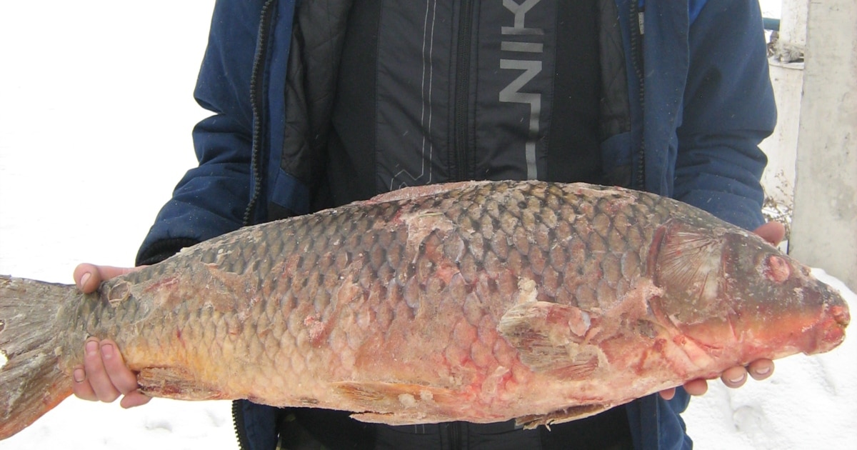 Сіз жыныстық қатынасқа түскен сайын қынапты қатайтуыңыз керек пе?