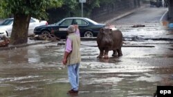 Tbilisi, 14-nji iýun, 2015