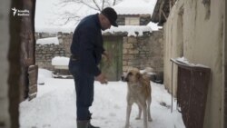 Qubada bir kəndin qış gününü bir də bizim kamerada izləyin