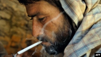 Why Has Drug Use Increased So Dramatically In Afghanistan?