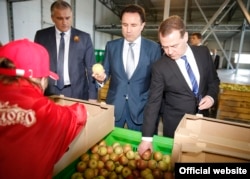 Российский премьер Дмитрий Медведев на сельхозпредприятии