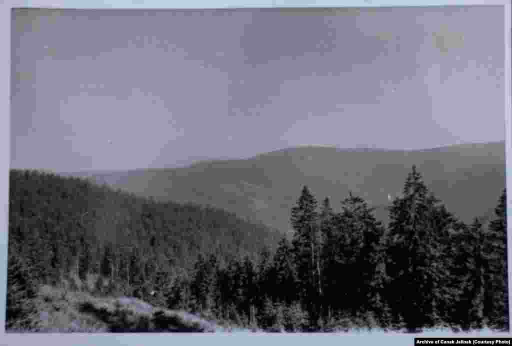 The surrounding forests near Sindelova in 1978-79