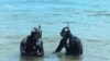«Школа військових водолазів»: у Чорному морі тренувалися нацгвардійці-підводники (відео)