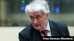 Judges will rule March 20 on the appeal of former Bosnian Serb wartime leader Radovan Karadzic.