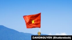 د ویتنام بیرغ 