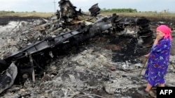 O localnică și rămășițele avionului MH17, 19 iulie 2014