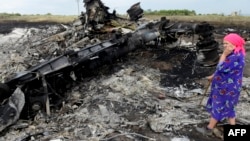 A local resident stands among the wreckage at the MH17 crash site on July 19, 2014.