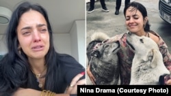 ნინა დრამა, რომელიც მერაბ დვალიშვილთან ერთად საქართველოს სტუმრობდა, ვიდეომიმართვას ავრცელებს და მიუსაფარ ძაღლთა ფონდის დაარსებაზე ფიქრობს.