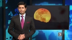 تازه ترین خبرها در ستودیوی آزادی