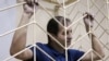 Хроніка ув'язнення політв'язня Кремля Володимира Балуха та шлях до звільнення 