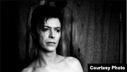 Антон Корбайн. Портрет Дэвида Боуи