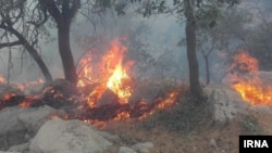 آتش‌سوزی در دشتستان و خائیز تنگستان تا امروز باعث سوختن ۶۲۰ هکتار از مراتع شده است