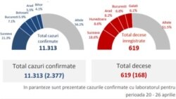 Analiză cazuri și decese de coronavirus