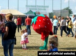 Фестиваль полуниці у Залускі (Польща)